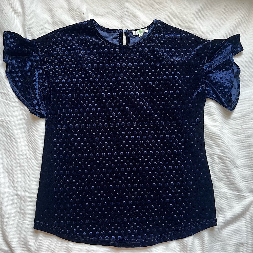 Velvet blouse
